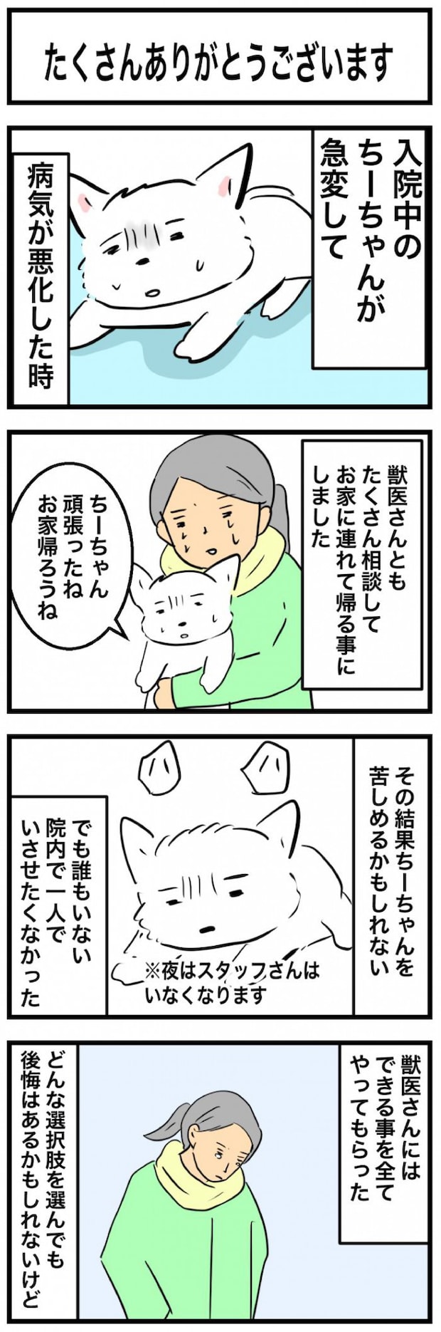 ちーちゃんですけどもっ【第346話】　1