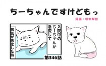 ちーちゃんですけどもっ【第346話】「たくさんありがとうございます」