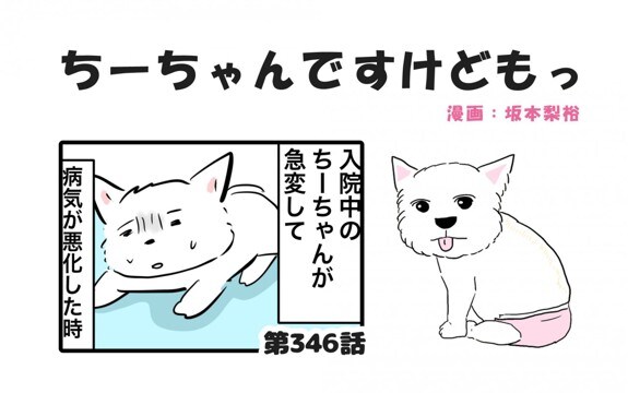 ちーちゃんですけどもっ【第346話】「たくさんありがとうございます」