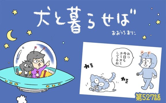 犬と暮らせば【第527話】「言ってはいけない②」