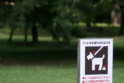 犬の散歩に関する立て看板