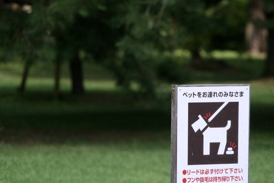 犬のウンチを道に放置する『4つのリスク』絶対NGな理由や適切な処理まで
