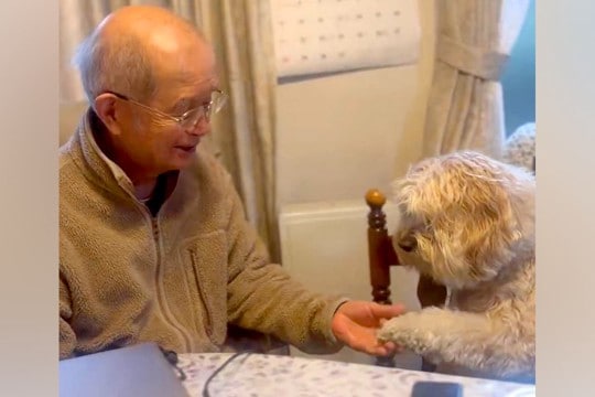 『近所のおじいちゃんの家』に遊びに行った犬→ずっと見ていたくなる『尊いやり取り』に2万いいね集まる「両方可愛いw」「アゴの出し方最高」