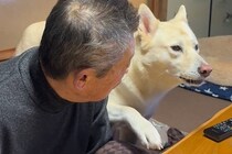 『おじいちゃん、一緒に2階に来てよ』と駄々をこねる犬→8回目のおねだりで…いつまでも見ていたい光景が401万再生「尊い…」「会話してる」