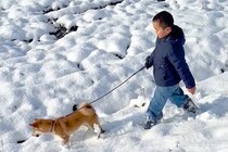 雪の中で子犬を散歩する男の子→突然引っ張られてしまい…微笑ましすぎる『まさかのハプニング』に反響「わかるｗ」「リード離さないお兄ちゃん偉い」