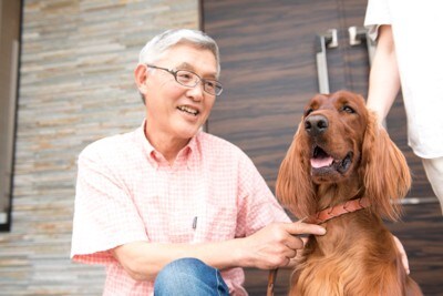 ペットとシニア男性