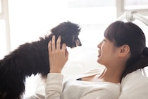 犬を大満足させる『愛情表現』5選　気持ちを伝えるにはどうしたらいいの？必要なコミュニケーションまで