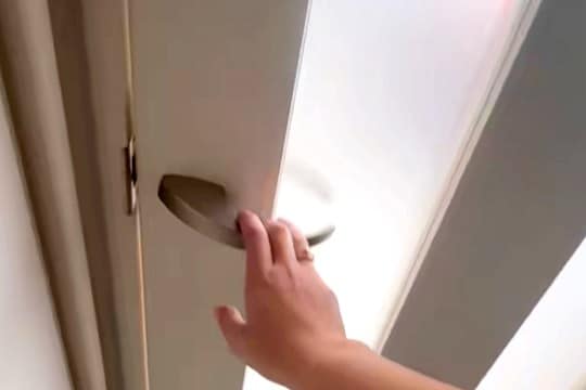 愛犬たちと『3秒間だけ』離れてみた結果→ドアを開けた瞬間に…予想を超える反応が愛おしすぎると6万再生「可愛いが渋滞」「最高な空間」と絶賛