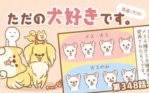 ただの犬好きです。【第348話】「嬉しい表情」