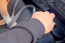車の助手席に座る犬→飼い主が『シフトレバーの上に手を置いた』瞬間…まさかの光景が18万再生「強引な彼女ｗｗ」「あざとい女子で草」と反響