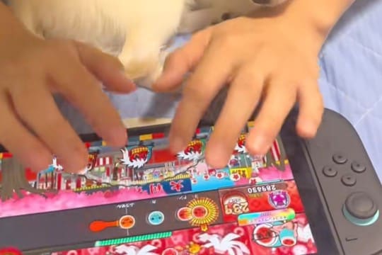 ニンテンドースイッチで『太鼓の達人』をしていたら、犬が甘えてきて…絶対にくつろげていない光景が89万再生「平和な世界」「私なら絶対酔う」
