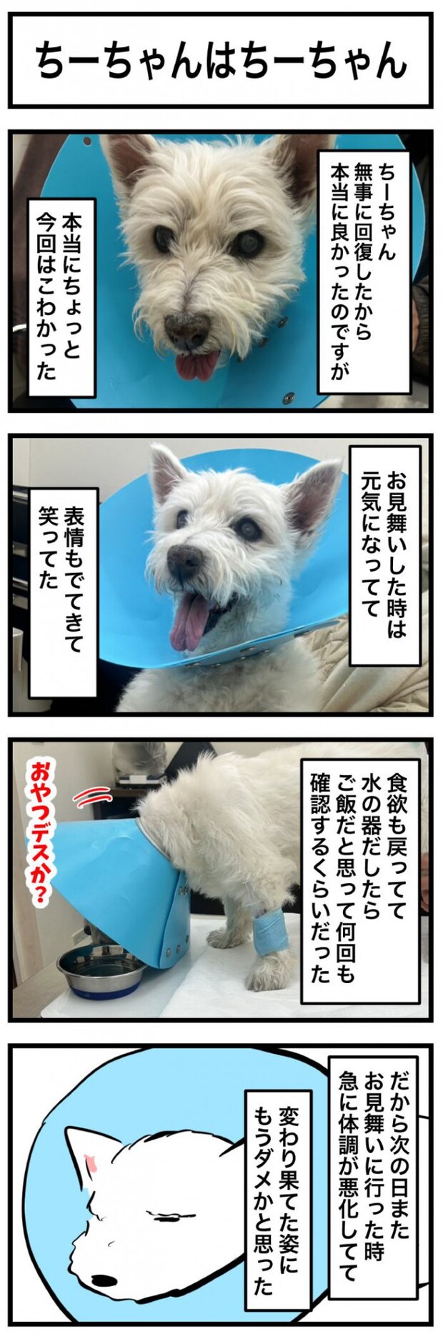 ちーちゃんですけどもっ【第347話】　1