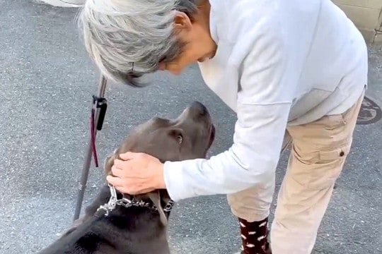 散歩中、杖をついた通りすがりのおばあちゃんと遭遇→大型犬に近付いて…『お話をする光景』があまりにも尊いと反響「優しい世界」「涙が出る」
