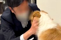 『臭いから、犬なんて絶対に飼わない』と言う旦那→半年かけて洗脳した結果…『まさかの溺愛』が13万再生「沼にハマったｗｗ」「素敵なパパ」