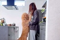 朝、体重23キロの大型犬が『ママに抱っこをおねだり』した結果→もはや『人間の子ども』な光景が60万再生「幸せの重み」「サイズオーバーｗ」