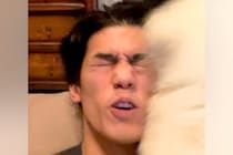 実家に帰省した男性→『おかえり！』と出迎えてくれた犬が…想像を超える『大歓迎』が99万再生「もはや洗車ｗｗｗ」「苦しそうで草」と爆笑