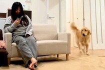 大型犬に内緒で『７ヶ月ぶりに帰省した姉』→サプライズで登場した結果…『想像を超えるリアクション』が13万再生「しっぽ取れそうｗ」と絶賛