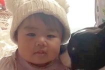 赤ちゃんのことが大好きな犬→7年後…大きくなっても変わらない『関係性』が素敵すぎると12万再生「かわいいの渋滞」「優しいお兄ちゃん」