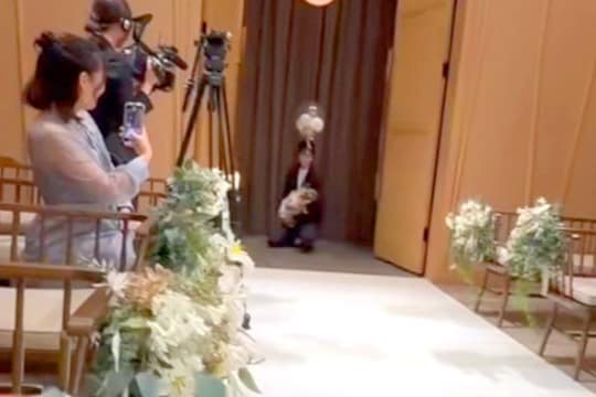 犬が結婚式で『リングドッグ』に挑戦→成功したと思ったら、大好きなお友達を発見して…『まさかの展開』に反響「あららｗｗ」「可愛すぎる」
