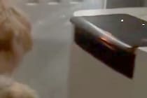 空気清浄機が爆音で動き始めたので、何事かと思ったら…まさかの『可愛すぎる原因』が85万表示「フル稼働させてて草」「可愛いｗｗ」と爆笑の声