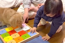 赤ちゃんが『犬のオヤツ』をおもちゃの中へ隠した結果→思いもよらない『まさかのオチ』に反響「爆笑したｗｗｗ」「優しいね」「可愛すぎ」