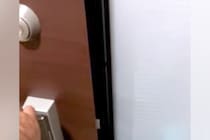 保護犬を飼い始めて5年→数時間ぶりに家に帰ると、今でも…ずっと変わらない『全力の大歓迎』に反響「なんて尊くて愛おしい」「3年ぶりレベル」