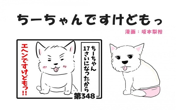 ちーちゃんですけどもっ【第348話】「ちーちゃんのおばあちゃん」