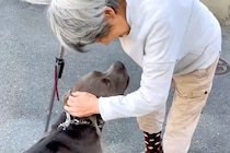 散歩中、杖をついた通りすがりのおばあちゃんと遭遇→大型犬に近付いて…『お話をする光景』があまりにも尊いと反響「優しい世界」「涙が出る」