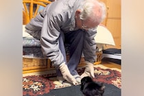 おじいちゃんが『孫の犬に会いたい』と言っていたので、連れて行ったら…あまりにも尊い『初対面の光景』に反響「嬉しそう」「ふたりとも可愛い」