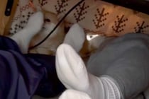 こたつの中で、犬が『こそこそ飼い主の足を嗅いでいた』結果→バレてしまい…愛おしすぎるリアクションが39万再生「横目ｗｗ」「いい趣味」