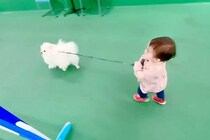 1歳の女の子が『犬の散歩』に挑戦した結果→思っていたのと違う『まさかの光景』が可愛すぎると67万表示「家族愛ですね」「優しい」と絶賛の声