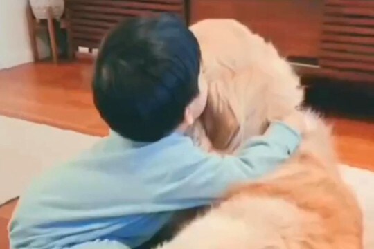 小さな男の子が大型犬と一緒に過ごした結果→3歳で『僕の弟』と言い出して…あまりにも尊い成長記録が46万再生「仲良し兄弟だ」「ほっこり」