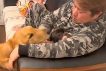 小さな犬を可愛がるパパ→大型犬が嫉妬してしまい…絶対に自分だけを構ってほしい『尊い行動』が57万再生「素直な表現で可愛い」「愛くるしい」