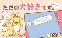 ただの犬好きです。【第350】「思ってたんと違う」