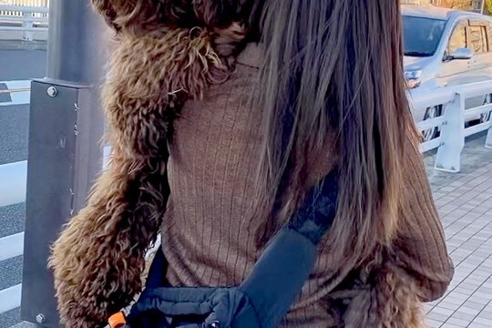 『歩きたくない』と駄々をこねる大型犬→仕方なく抱っこしたら…自分の大きさを理解していない『子供のような光景』に反響「可愛い甘えん坊さん」