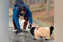 凍った地面の上を歩こうとする男性と犬→もはやコントな『ハプニング』に570万再生の反響「スィーｗｗおもろすぎるｗｗ」「飼い主が危機で草」