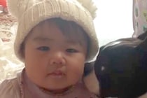 赤ちゃんのことが大好きな犬→7年後…大きくなっても変わらない『関係性』が素敵すぎると12万再生「かわいいの渋滞」「優しいお兄ちゃん」