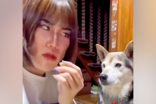 『コンビ結成何年目ですか？』犬のオヤツを食べる女性→お笑い芸人顔負けな『掛け合い』が119万再生「どう見ても台本ありｗｗ」「おもろすぎ」