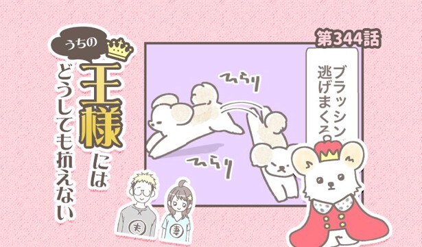 うちの王様にはどうしても抗えない【第344話】「逃げすぎ②」
