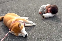 女の子と一緒に犬を散歩中『同時に帰宅拒否』をしてしまい…10日後→『まさかの光景』が100万再生「あまりにも可愛い」「成長感じる」