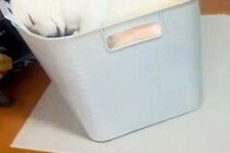 洗濯物を畳もうとしていたら、洗濯カゴの中に…絶対に家事が進まない『まさかの光景』が13万再生「綺麗に収まってる」「シンデレラフィット」