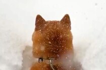 朝、起きたら大雪が積もっていて…犬が自ら埋もれに行った結果→『無謀すぎるダイブ』が愛おしすぎると136万再生「爆笑した」「揚げパンちゃん」