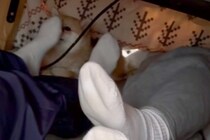 こたつの中で、犬が『こそこそ飼い主の足を嗅いでいた』結果→バレてしまい…愛おしすぎるリアクションが39万再生「横目ｗｗ」「いい趣味」