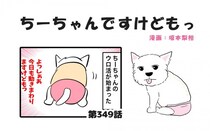 ちーちゃんですけどもっ【第349話】「夜中の徘徊は色々パターンがあるらしい」