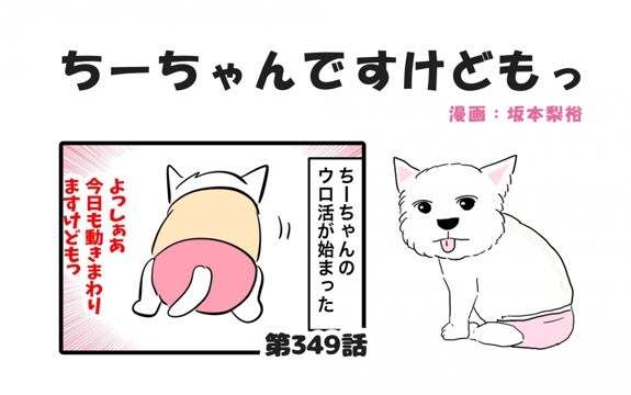 ちーちゃんですけどもっ【第349話】「夜中の徘徊は色々パターンがあるらしい」