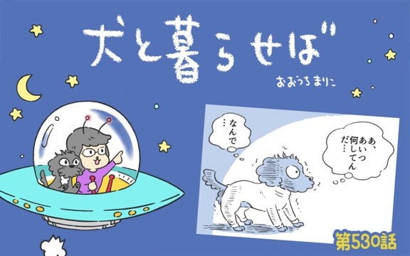 犬と暮らせば【第530話】「エマが理解しがたいこと」
