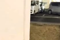 散歩中、呼んでも来てくれない犬→物陰に隠れてみた結果…あまりにも愛おしい反応が話題に「2段階ジャンプ可愛すぎるｗ」「カンガルーかｗ」