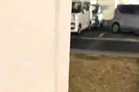 散歩中、呼んでも来てくれない犬→物陰に隠れてみた結果…あまりにも愛おしい反応が話題に「2段階ジャンプ可愛すぎるw」「カンガルーかw」