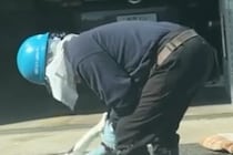 車で帰宅後、隣の家で仕事をしていた『剪定職人のおじさん』が…予想外だった『まさかの光景』が73万再生「心が綺麗なおじさま」「平和だ…」