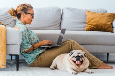 女性と犬
